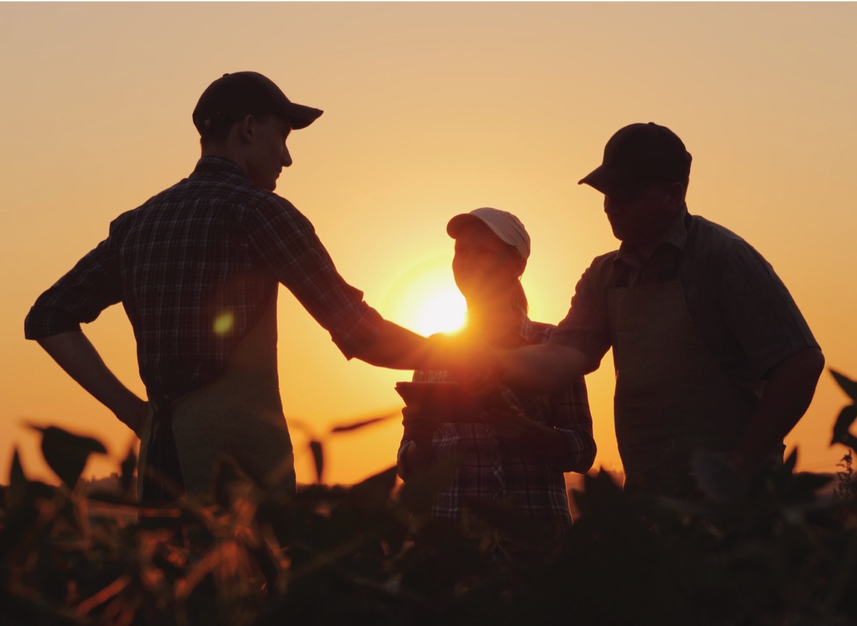 Farmers standing in a field